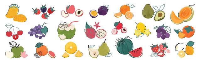einstellen von bunt Obst Element . anders frisch Obst Design von Apfel, Erdbeere, Mango, Drachen Frucht, Kokosnuss mit Hand gezeichnet Muster. Illustration zum Marke, Aufkleber, Stoff, Clip Art, Anzeigen. vektor
