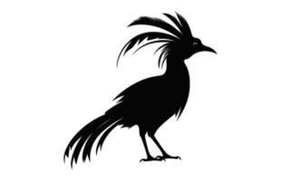 hoatzin fågel silhuett svart ClipArt isolerat på en vit bakgrund vektor