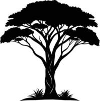 ein Illustration von afrikanisch Baum Silhouette vektor