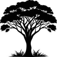 ein Illustration von afrikanisch Baum Silhouette vektor