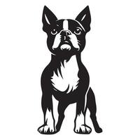 boston terrier - boston terrier hund stående illustration i svart och vit vektor