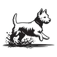 westie hund - väst högland vit terrier stänk i pöl illustration vektor