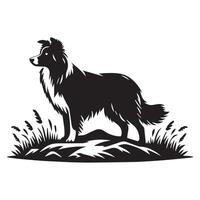 Hund - - Hüten Rand Collie im Hochland Illustration im schwarz und Weiß vektor