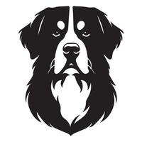 hund - en självsäker Berner berg hund ansikte illustration i svart och vit vektor