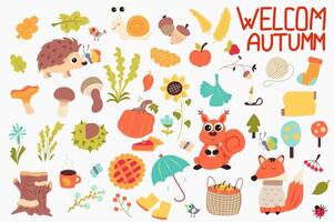 Herbst süß einstellen im eben Karikatur Design. bündeln von Blätter, Igel, Schnecke, Eichel, Apfel, Beere, Socken, Schal, Sonnenblume, Kürbis, Pilz, Blumen und andere. Illustration isoliert Elemente vektor