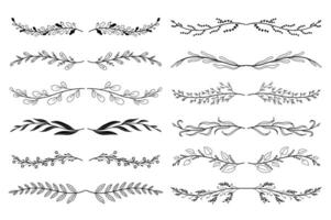 Blumen- Ornament Teiler einstellen im Hand gezeichnet Design. Blätter, Zweige, Pflanzen und Geäst. bündeln von botanisch Ornamente Schriftrollen Dekoration und dekorativ Ast. Illustration isoliert Sammlung vektor