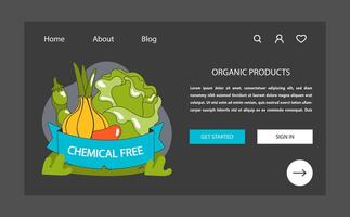 organisch Lebensmittel. chemisch kostenlos Gemüse Anbau. natürlich Ernährung vektor