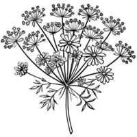 Königin Anne Spitze Blume Gliederung Illustration Färbung Buch Seite Design, Königin Anne Spitze Blume schwarz und Weiß Linie Kunst Zeichnung Färbung Buch Seiten zum Kinder und Erwachsene vektor