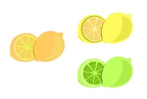 färsk saftig citron- klämma konst illustration med orange, grön och gul Färg vektor