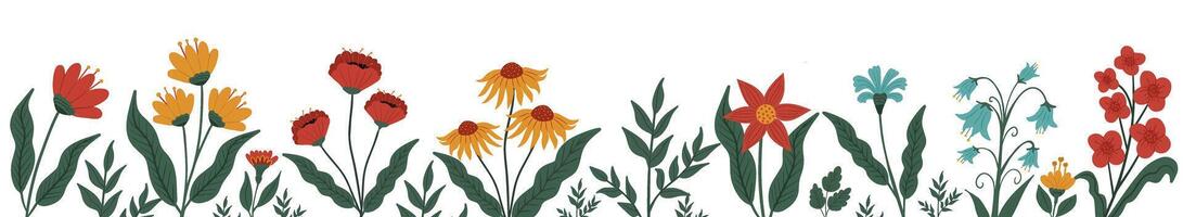 horizontal Weiß Banner oder Blumen- Hintergrund dekoriert mit Herrlich mehrfarbig Blühen Blumen und Blätter Grenze. Frühling botanisch eben Illustration auf Weiß Hintergrund vektor