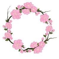 sakura japan körsbär gren med blomning blommor vektor