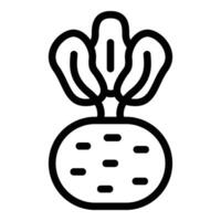 friska kålrabbi vegetabiliska ikon översikt . lummig jordbruk veggie vektor