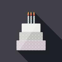 födelsedagstårta platt ikon för din design, vektorillustration vektor