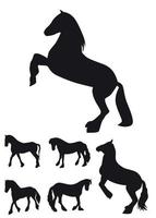 schwarzes Pferd Silhouette Set Vektor-Illustration vektor