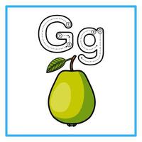 spårande alfabet guava illustration vektor