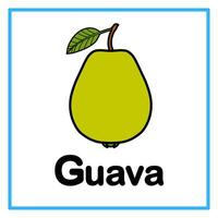 eben Guave Alphabet Illustration vektor