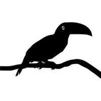 Tukane sind neotropisch Mitglieder von das in der Nähe von Passerine Vogel Familie Ramphastidae. das Ramphastidae sind die meisten eng verbunden zu das amerikanisch Barbets, Vogel Silhouette. Vektor Illustration