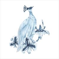 påfågel fågel och blå iris blommor. hand dragen vattenfärg illustration isolerat på vit bakgrund. indigo svartvit sammansättning med en peahen. elegant målning för klänning tyger, bröllop kort vektor