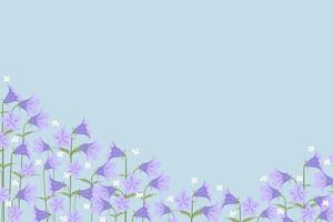 Sverige nationell blomma emblem blåklocka eller campanula rotundifolia bakgrund gräns ram vektor