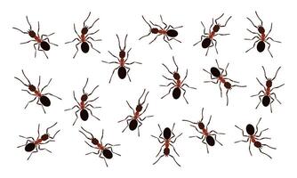 brun myra insekter svart silhuetter vektor illustration isolerat på vit bakgrund.