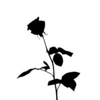schwarze und weiße Silhouette der Rose. isoliert auf weißem Hintergrund. Vektor-Illustration vektor