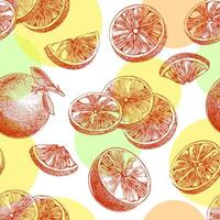Orange nahtlos Muster. Scheibe, ganze und Hälfte von Zitrusfrüchte. Hand gezeichnet Illustration von Obst Hintergrund im graviert Jahrgang Stil. skizzieren zum Speisekarte Design, Broschüre oder Paket Design. vektor
