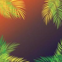 sommartid palmblad vektor bakgrundsillustration