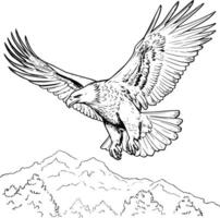 Adler fliegend Färbung Seite Zeichnung zum Kinder vektor