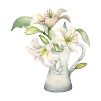 vit liljor i keramisk kanna vattenfärg isolerat. vit blomma botanisk illustration i tillbringare ritade. lilja knippa kristen symbol. design för bröllop inbjudan i kyrka, döpa, påsk kort vektor