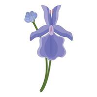 elegant blå iris blomma illustration vektor