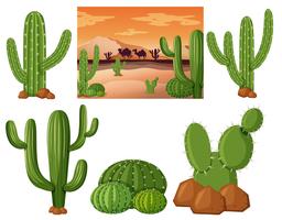 Ökenfält med kaktusplantor vektor