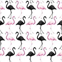 flamingo sömlös mönster bakgrund design svart och rosa vektor