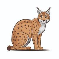 Bobcat ist ein wild Katze. eben Illustration von Tier isoliert auf Weiß Hintergrund. vektor