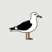 tecknad serie söt fågel albatross färgrik platt illustration vit bakgrund vektor