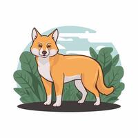 dingo. isolerat illustration vit bakgrund vektor