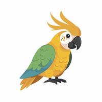 Kakadu Papagei Sitzung auf Brunch. bunt exotisch Vogel mit Orange Kamm im Karikatur Stil Illustration auf Weiß Hintergrund. vektor