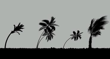 Palmen bei Sturm und Hurrikan. Blätter fliegen von einem Sturm über den Himmel. Vektor-Illustration vektor