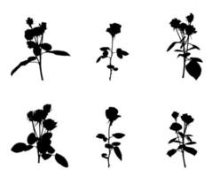 uppsättning vackra silan vita och svarta rosor. isolerad på vit bakgrund. vektor illustration