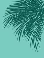 schöner Palmblatthintergrund. Vektor-Illustration vektor
