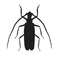 große Käfer-Silhouette-Vektor-Illustration vektor