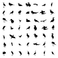 Satz von schwarzen und weißen Silhouetten von Vögeln Taube, Ente, Möwe, Pfau und Kolibri. Vektor-Illustration. vektor