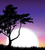 Silhouette des Baumes auf Sonnenuntergang Hintergrund. Vektor-Illustration vektor
