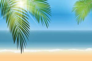 sommartid palmblad havet vektor bakgrundsillustration