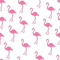 rosa ljus flamingo rand mönster design vektor