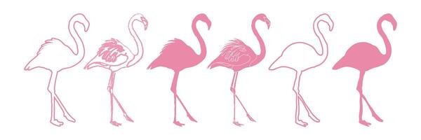 flamingo uppsättning isolerat silhuett illustration vektor