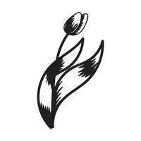 tulpan blomma. svart och vit silhuett av en tulpan. en enkel hand dragen ikon. illustration på vit bakgrund. vektor