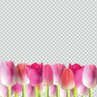 schöne rosa realistische Tulpe auf transparenter Hintergrundvektorillustration vektor