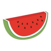 Obst in Scheiben geschnittene Wassermelone vektor
