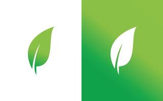 organisk blad logotyp . natur eco blad logotyp vektor