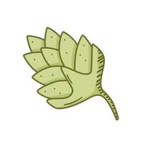 hop Pflanze Symbol Gekritzel Karikatur. Illustration von ein hop Obst skizzieren isoliert auf Weiß. vektor